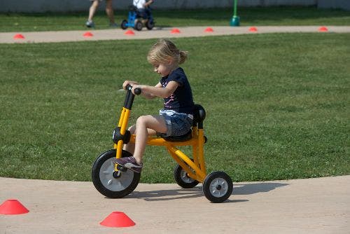 Pilot Trike - Image 3