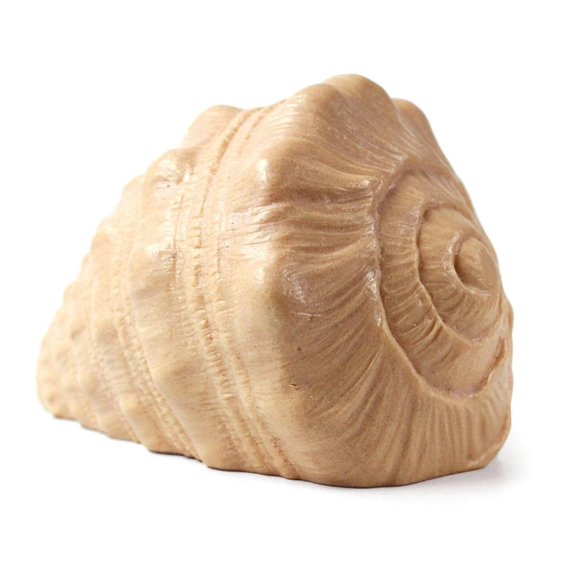 Play Shell - Image 2