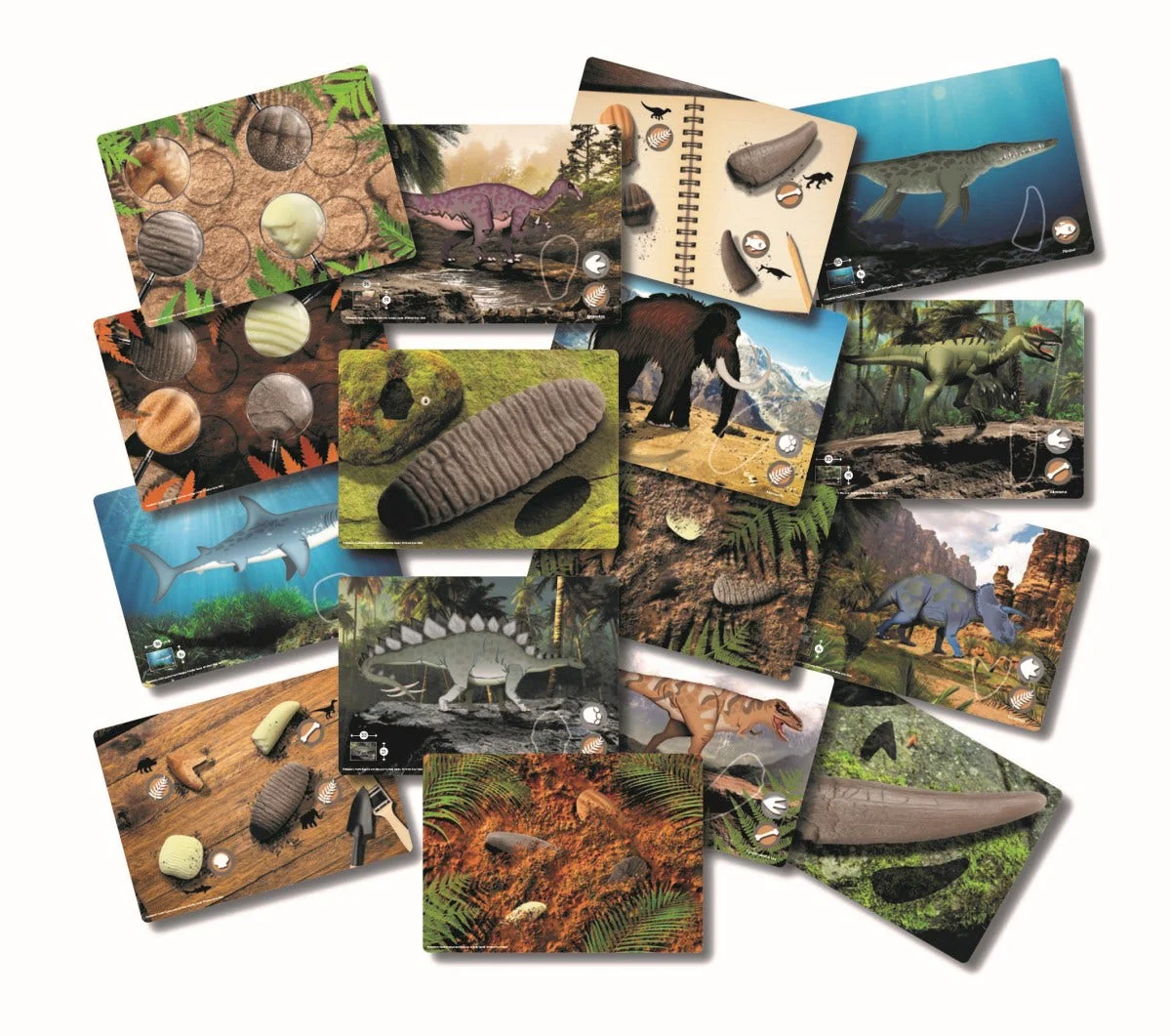 Prehistoric Teeth Activity Cards