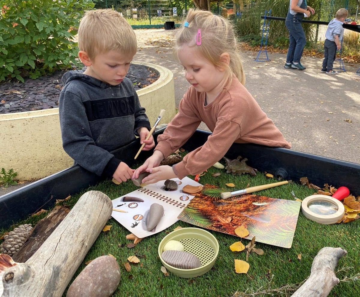 Prehistoric Teeth Activity Cards - Image 2