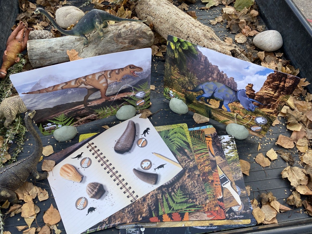 Prehistoric Teeth Activity Cards - Image 5