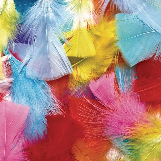 Rainbow Feathers Classroom Pack - Image 2