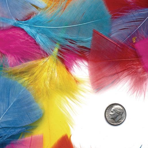 Rainbow Feathers Classroom Pack - Image 4