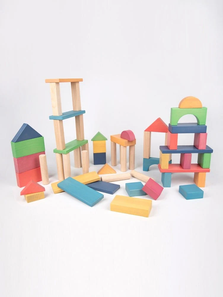 Rainbow Jumbo Blocks set of 54 - Image 4