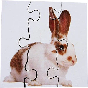 Real Life First Puzzles Pets - Image 4