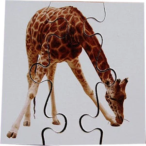 Real Life First Puzzles Wild Animals - Image 3