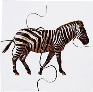Real Life First Puzzles Wild Animals - Image 5