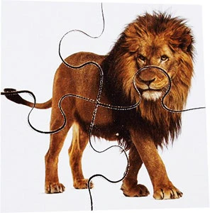 Real Life First Puzzles Wild Animals - Image 6