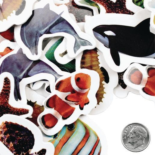 Real Photo Sea Life Foam Stickers 250 pc - Image 5