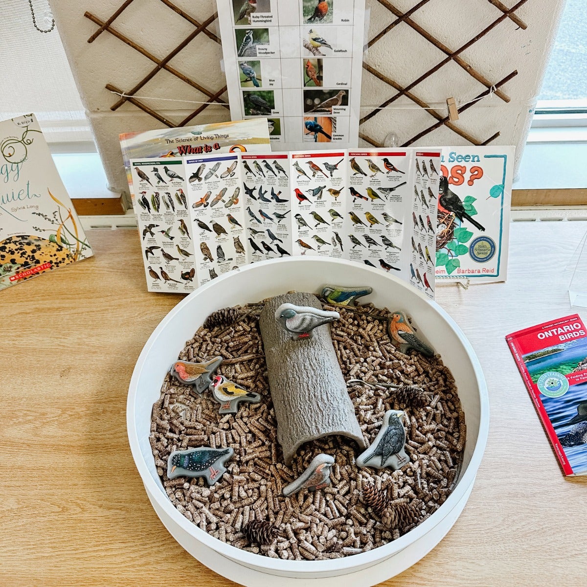 Sensory Play Stones Birds - Image 6