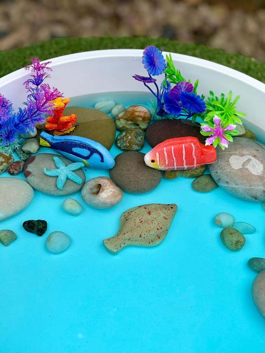 Sensory Play Stones Fish - Image 2