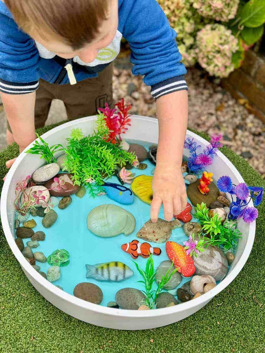Sensory Play Stones Fish - Image 4