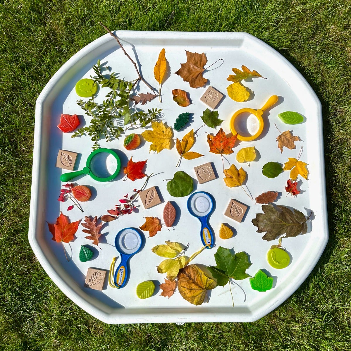 Sensory Play Stones Leaves - Image 6
