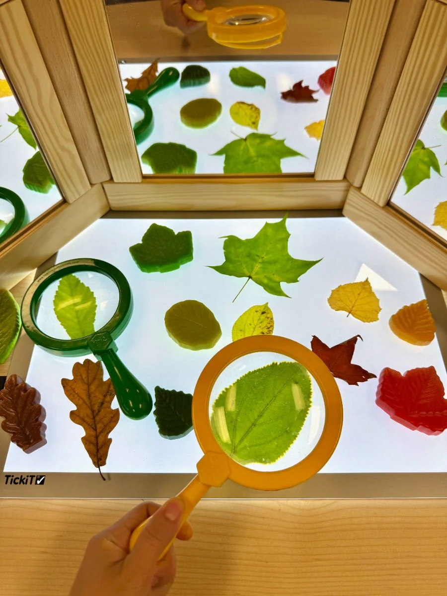 Sensory Play Stones Leaves - Image 8