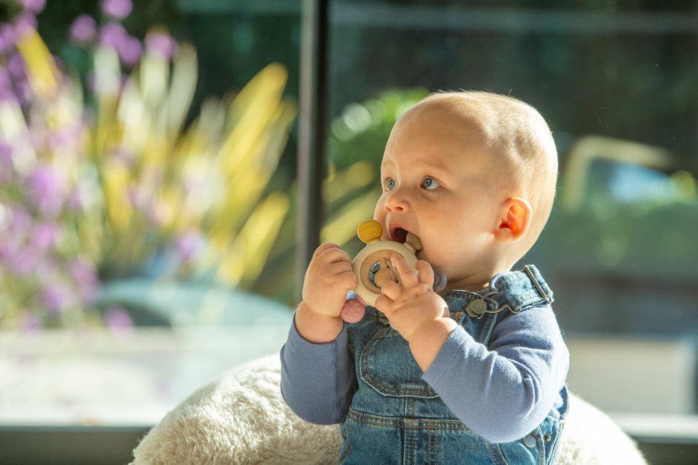 Silisoft Rattle Teether Earth - Image 5