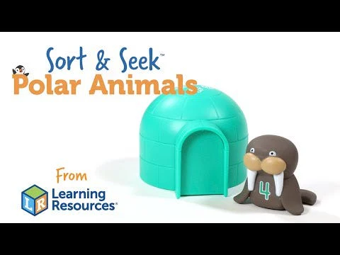 Sort & Seek Polar Animals - Image 6