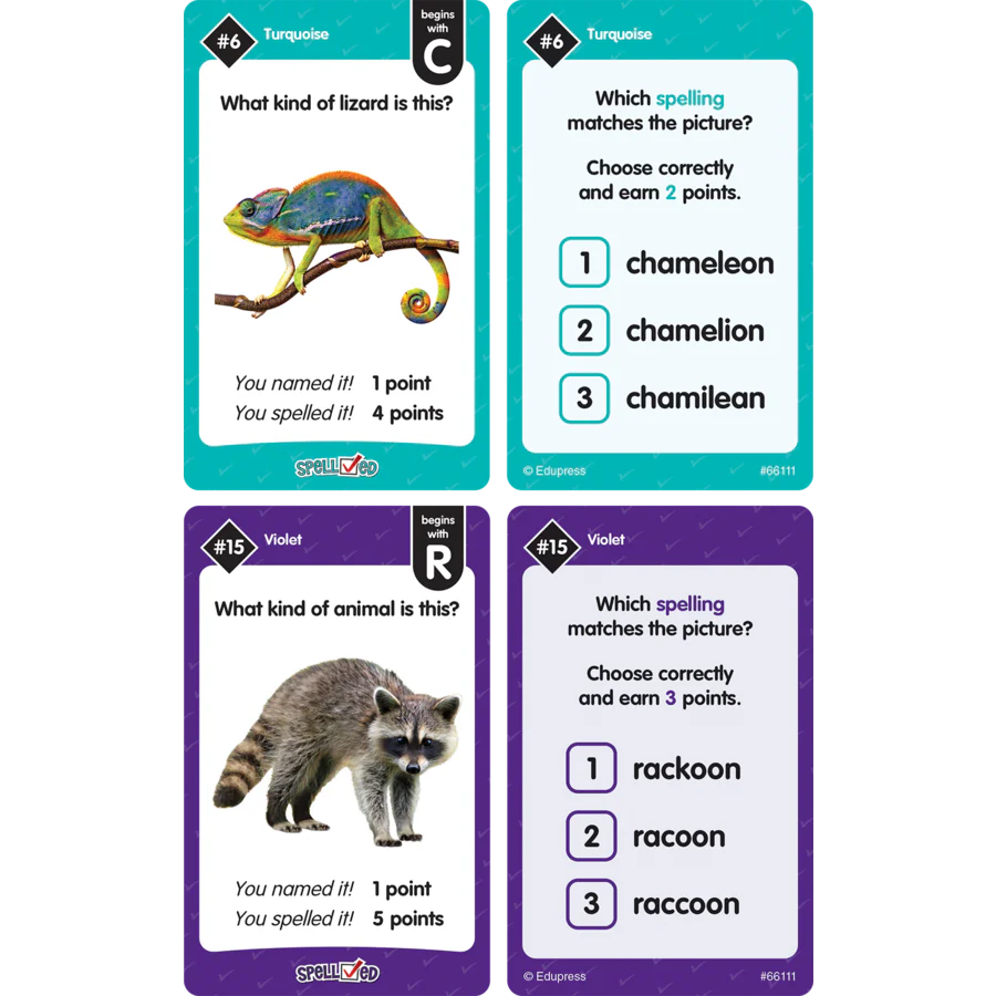 SpellChecked Card Game - Image 2