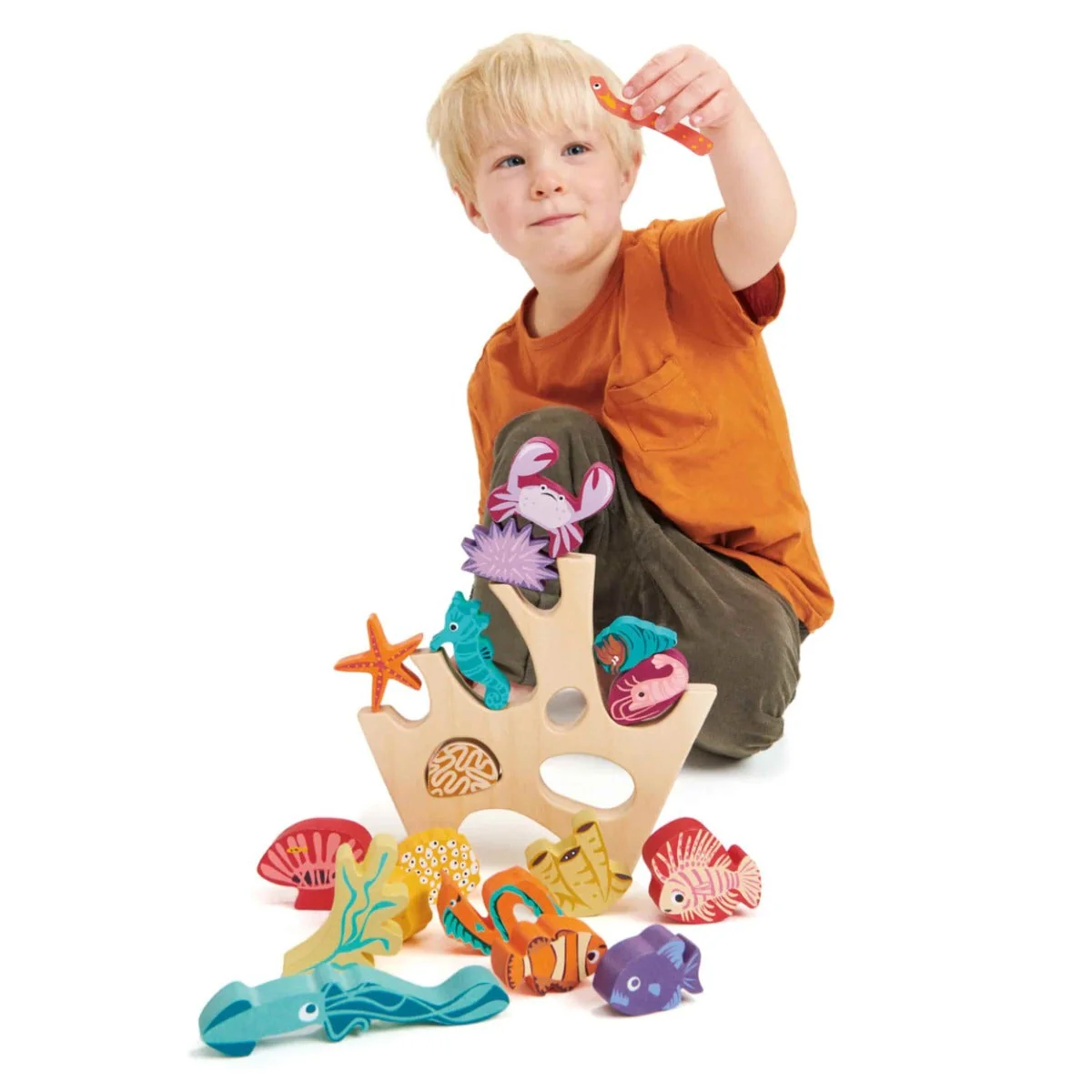 Stacking Coral Reef - Image 3