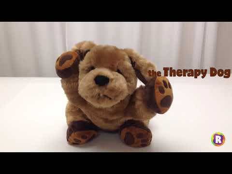 Theo the Therapy Dog - Image 6