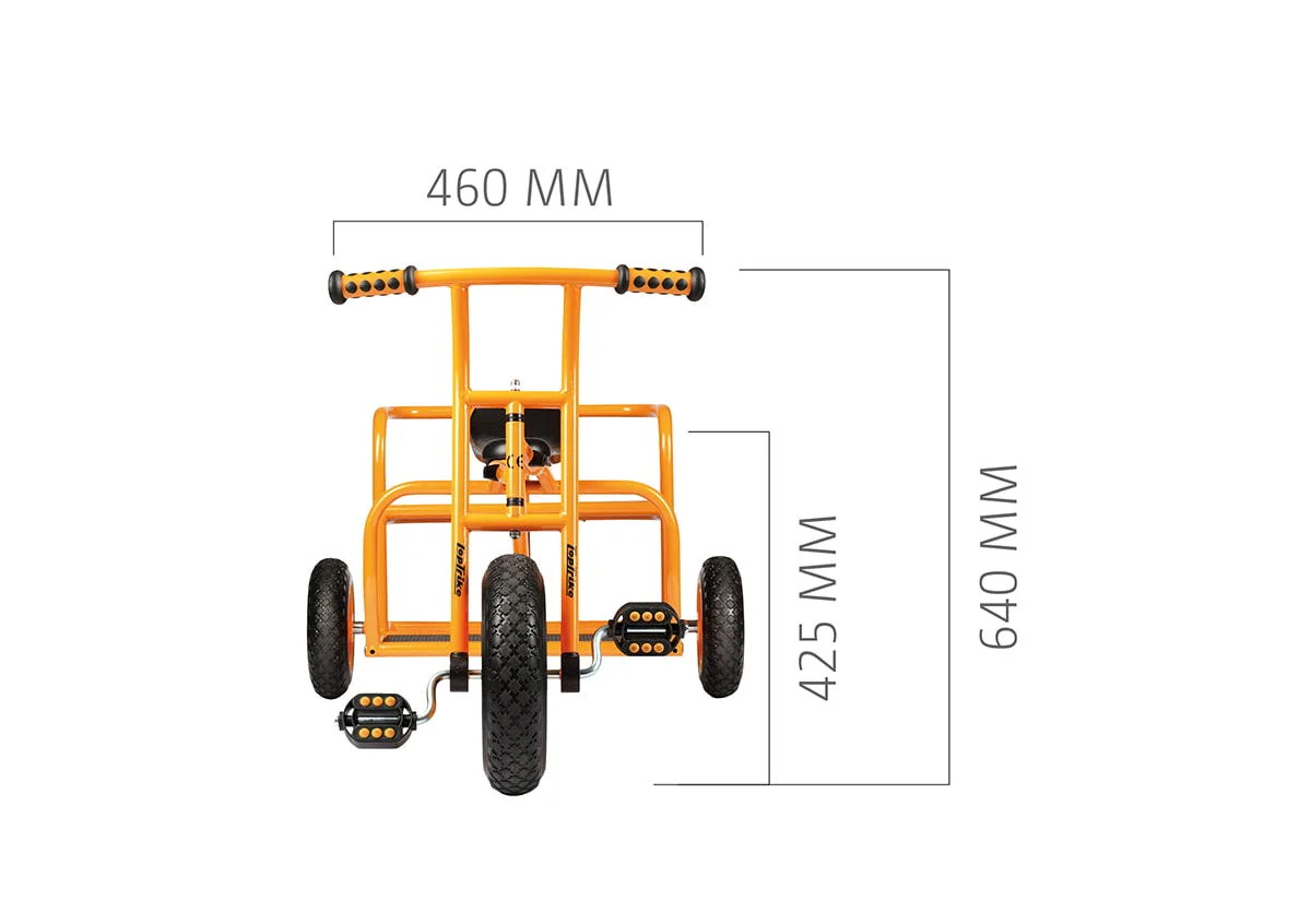 TopTrike Pillion Taxi - Image 2