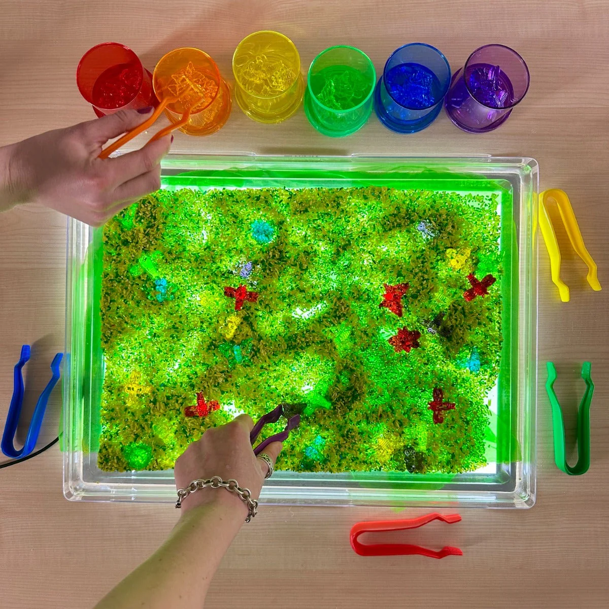 Translucent Colour Bugs - Image 4