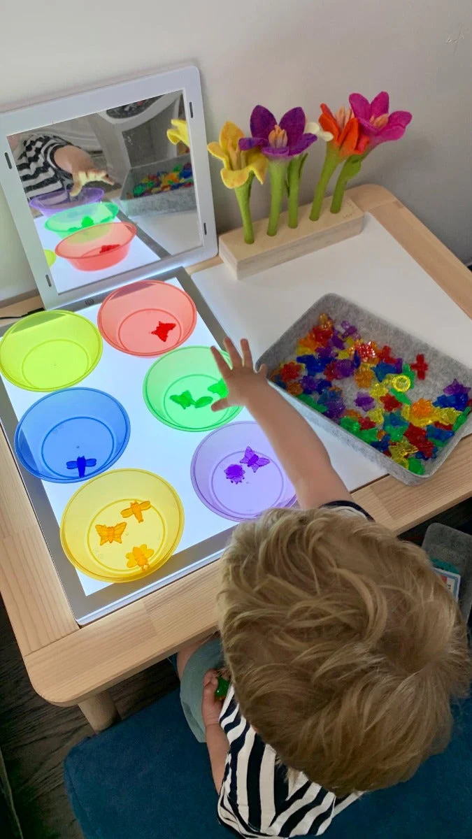 Translucent Colour Bugs - Image 6
