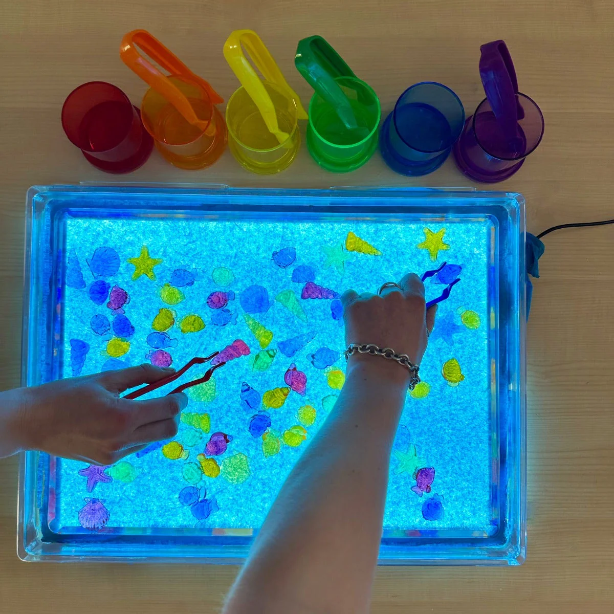 Translucent Colour Fish - Image 2
