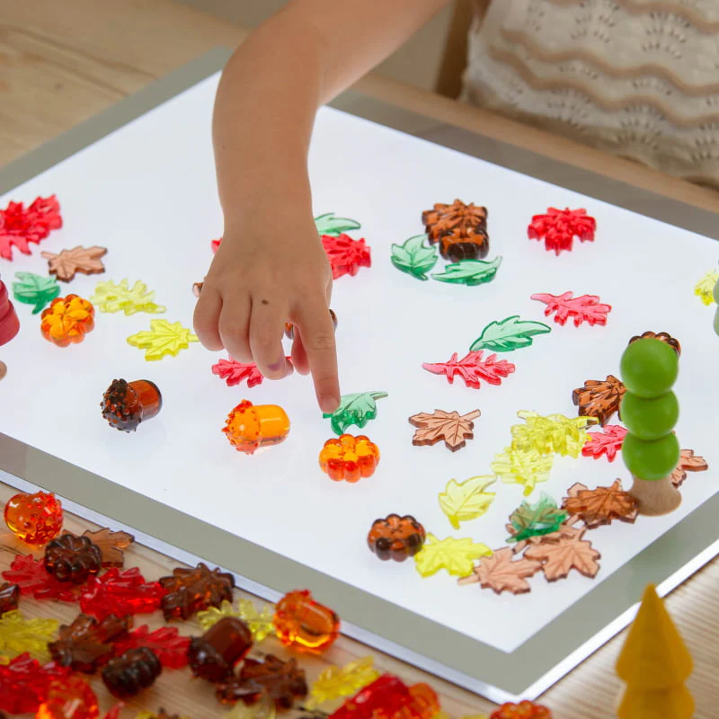 Translucent Colour Leaves & Seeds - Image 3