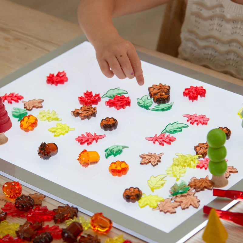 Translucent Colour Leaves & Seeds - Image 5