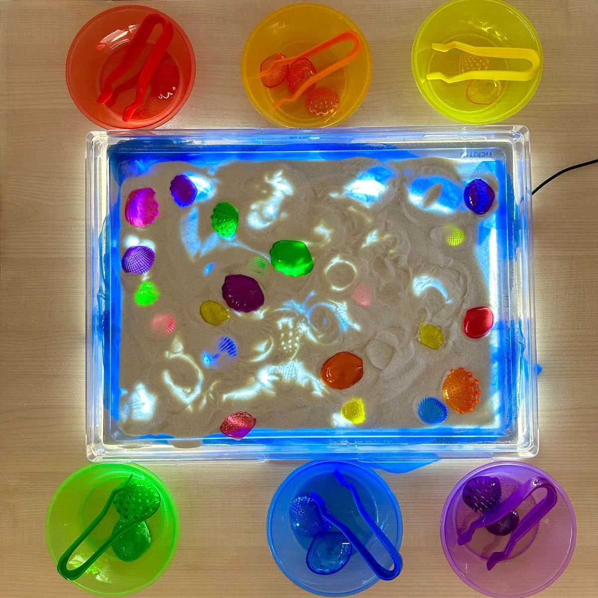 Transparent Tactile Shells Small - Image 2