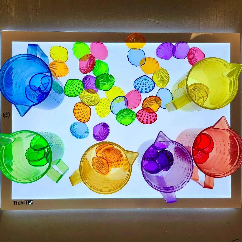 Transparent Tactile Shells Small - Image 4