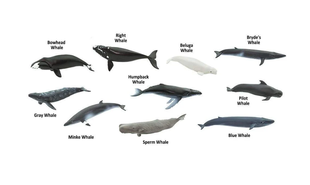 Whales Toob - Image 2