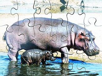 Wild Animals Set of 8 Wooden Puzzles - Image 6