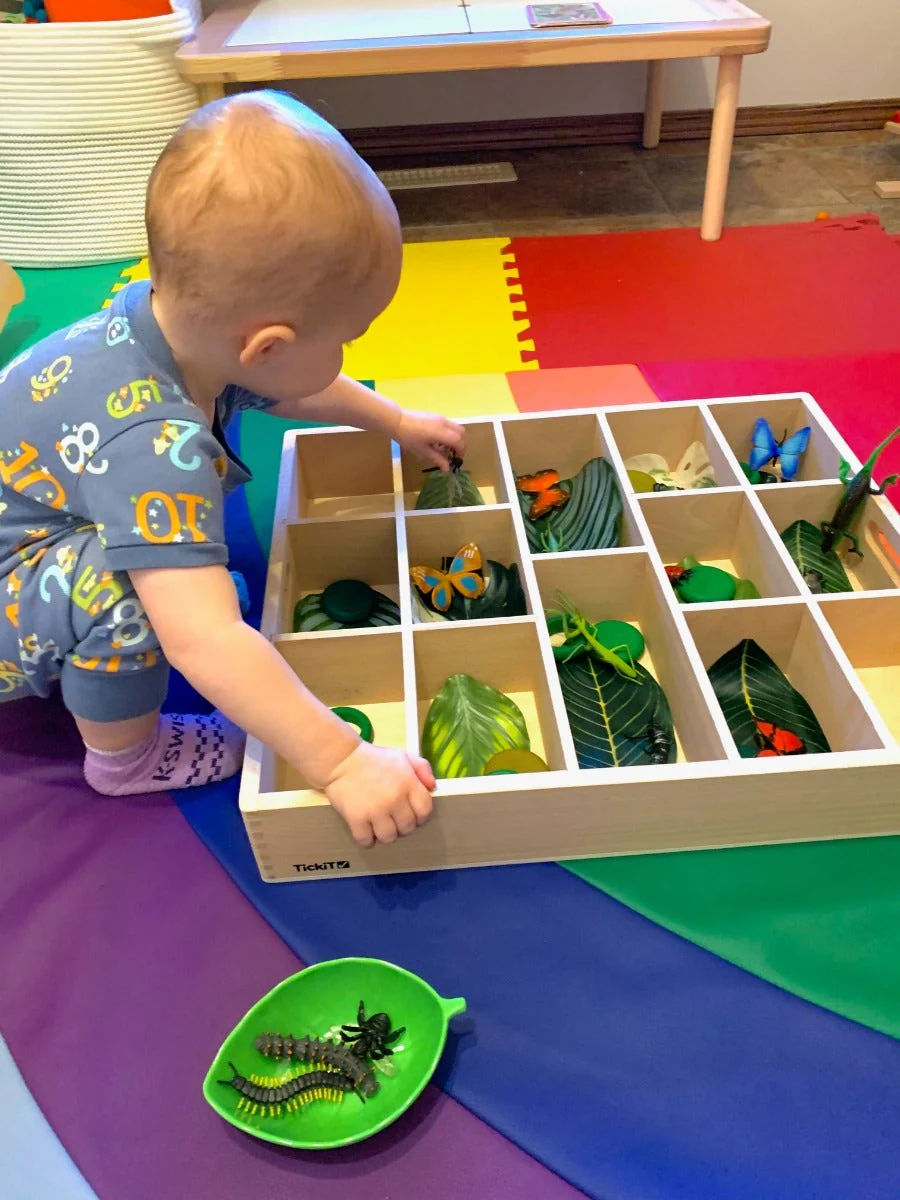 Wooden Sorting Tray - Image 3