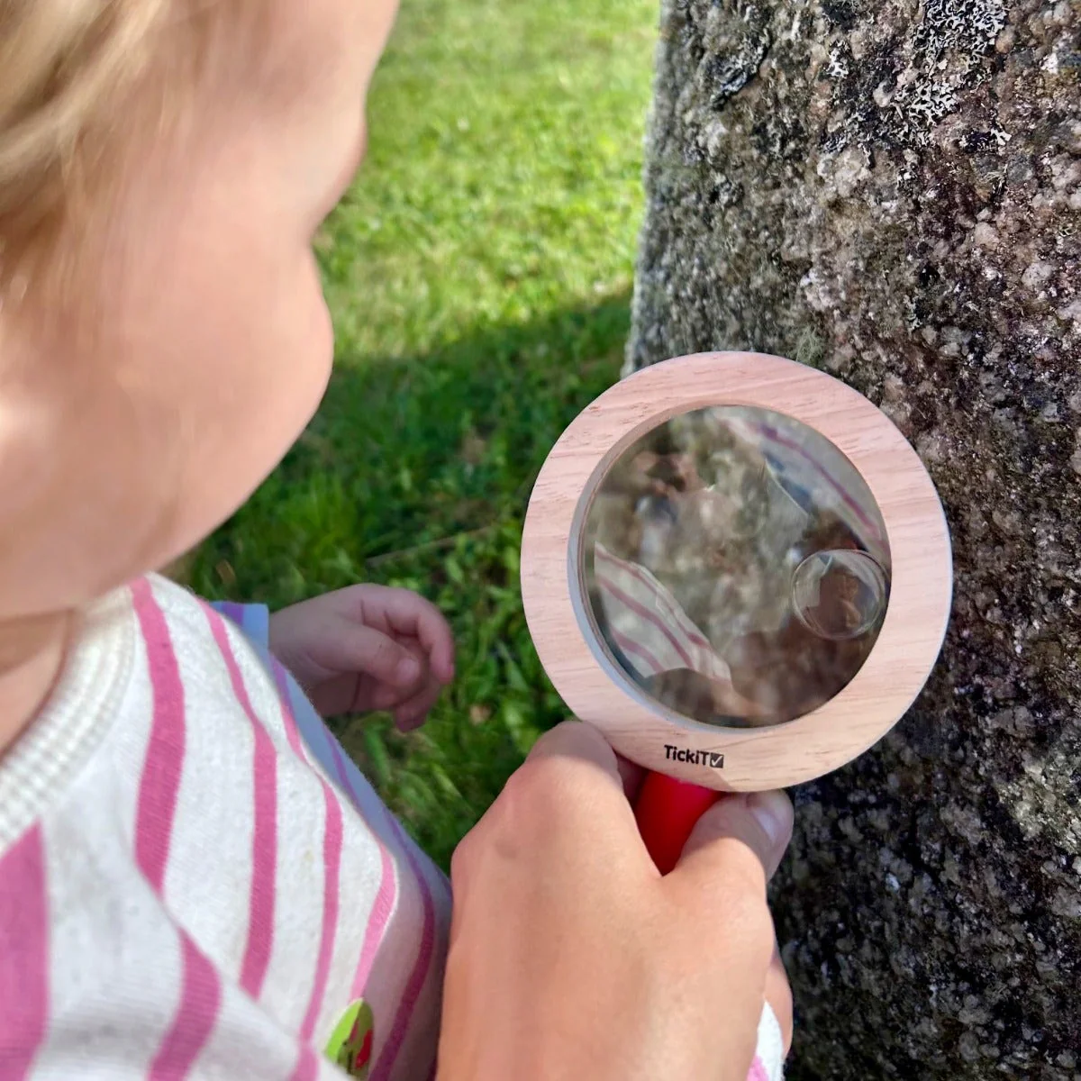 Wooden Surround Hand Lens - Image 3